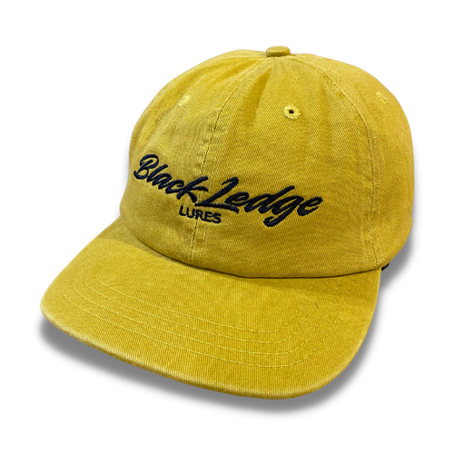 Dad hat - Embroidered logo